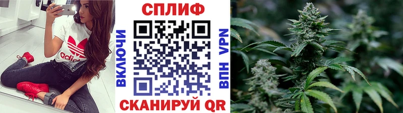 Бошки Шишки сатива Кашира